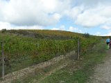 Chianti-1 2016 - 076.jpg